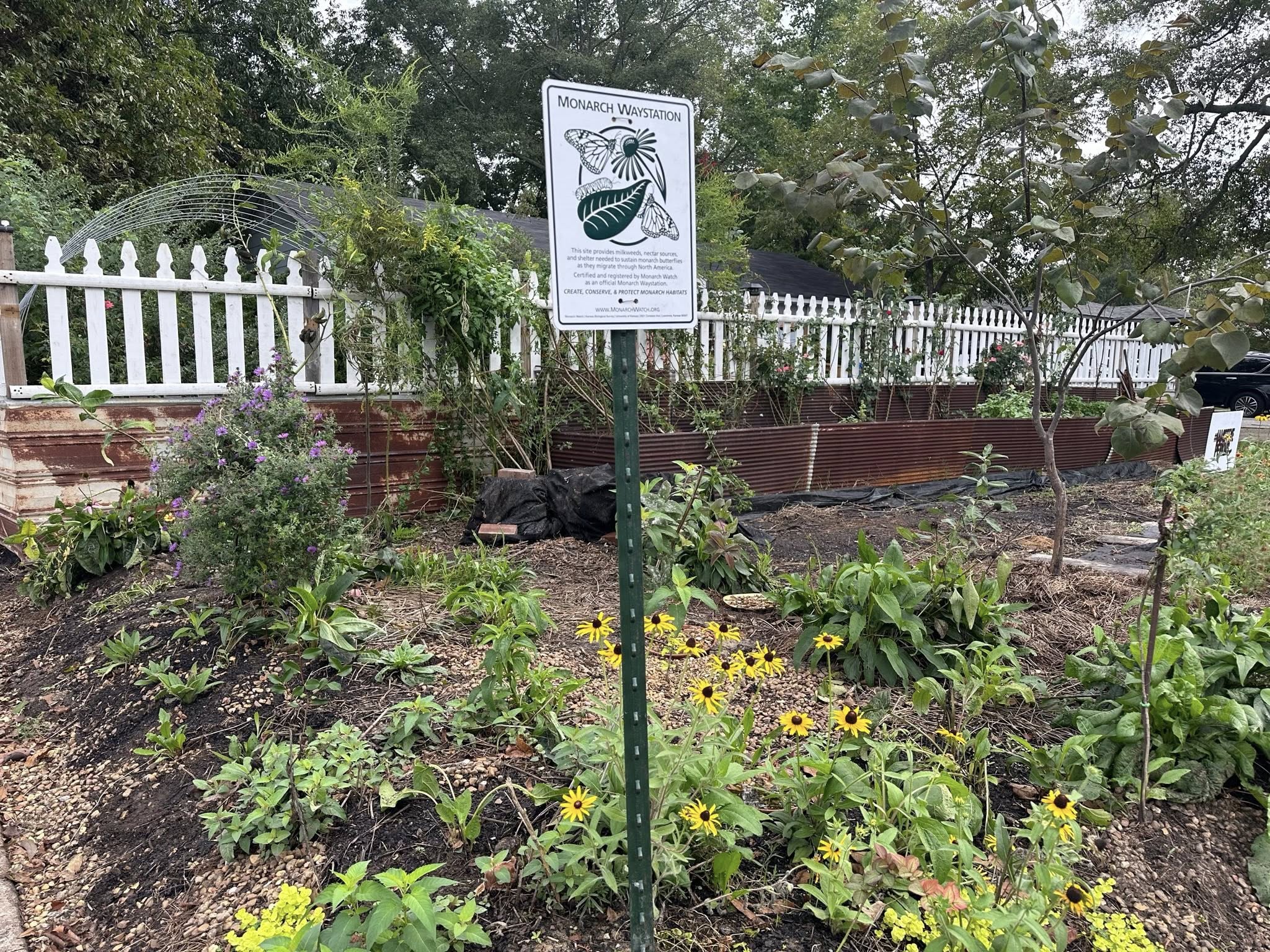 Monarch Waystation